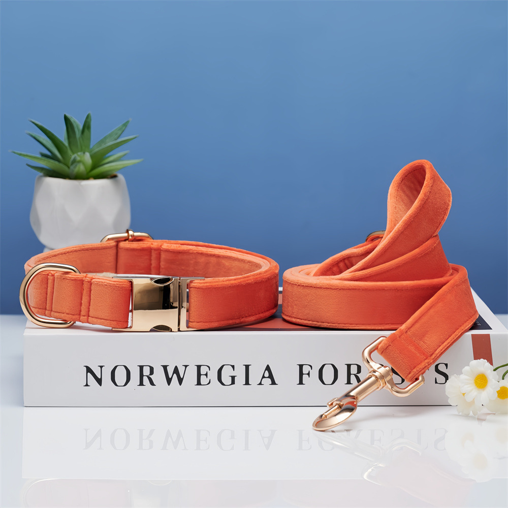 Dog Collar Engraved Anti Lost Adjustable For Medium Small Dogs Corgi Shiba Inu Golden Retriever Dopamine Color