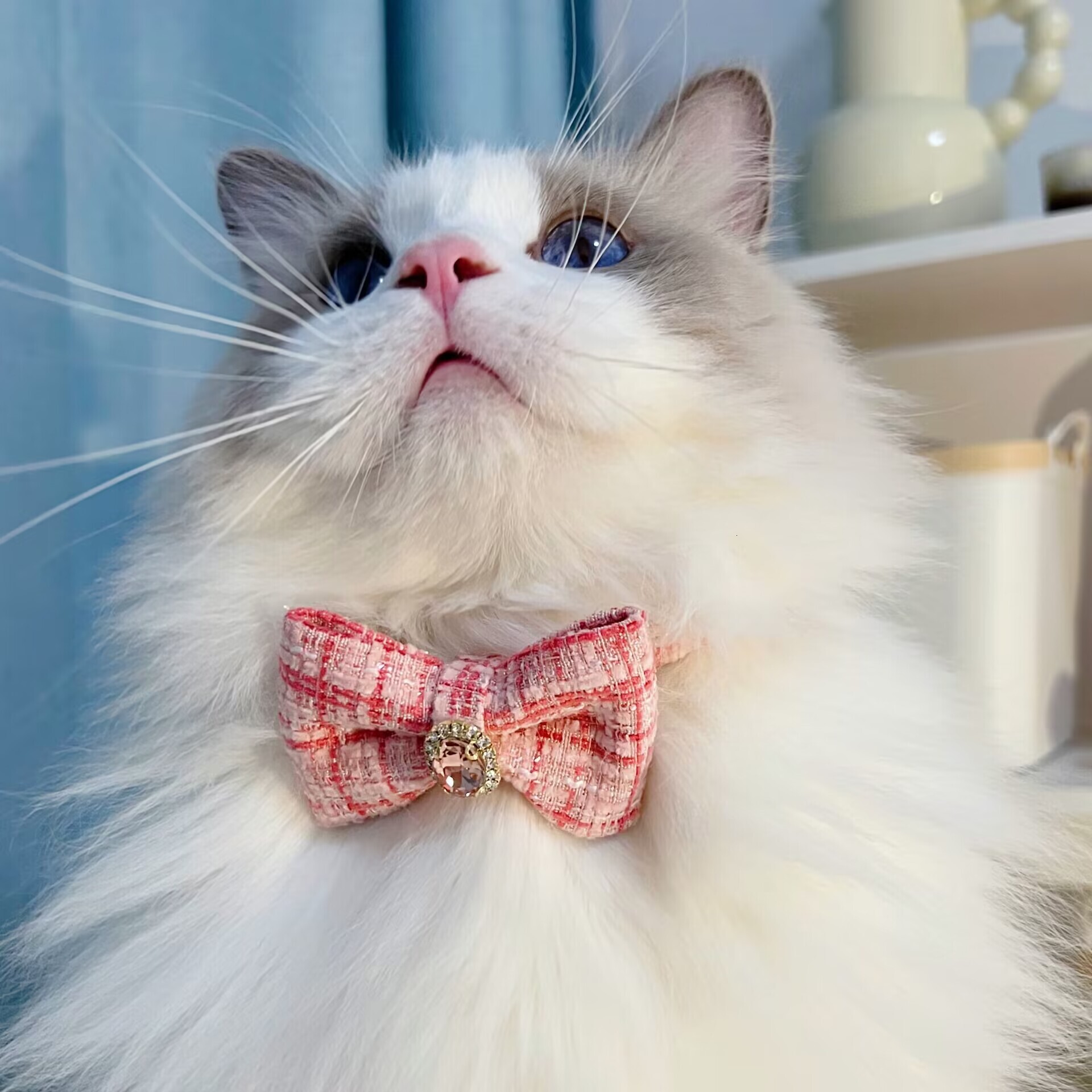 Pet Collar Adjustable With Cute Bow Tie Elegant Plaid Camellia Style Rhinestone Decor Soft Comfortable Fit For Small Dogs And Cats
