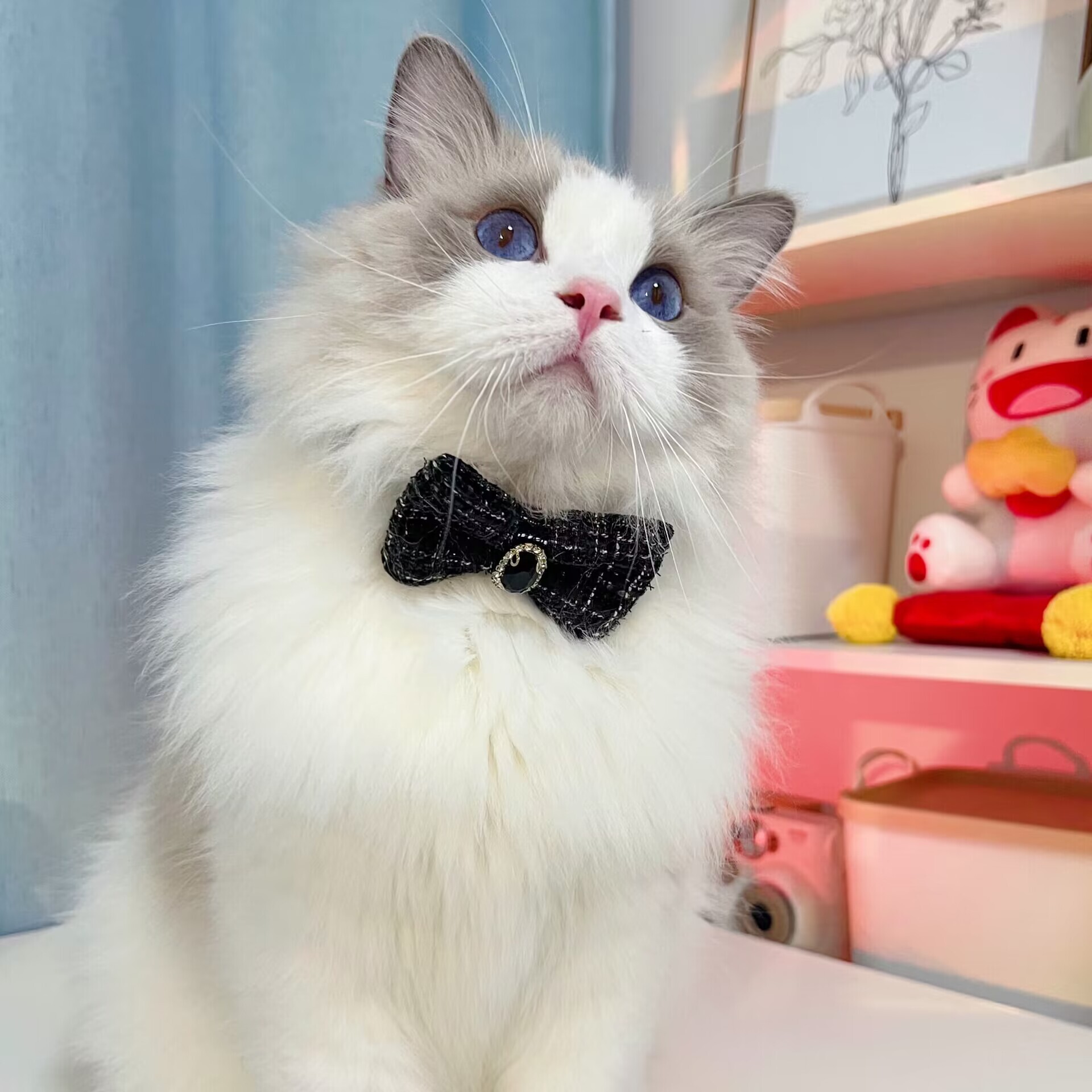 Pet Collar Adjustable With Cute Bow Tie Elegant Plaid Camellia Style Rhinestone Decor Soft Comfortable Fit For Small Dogs And Cats