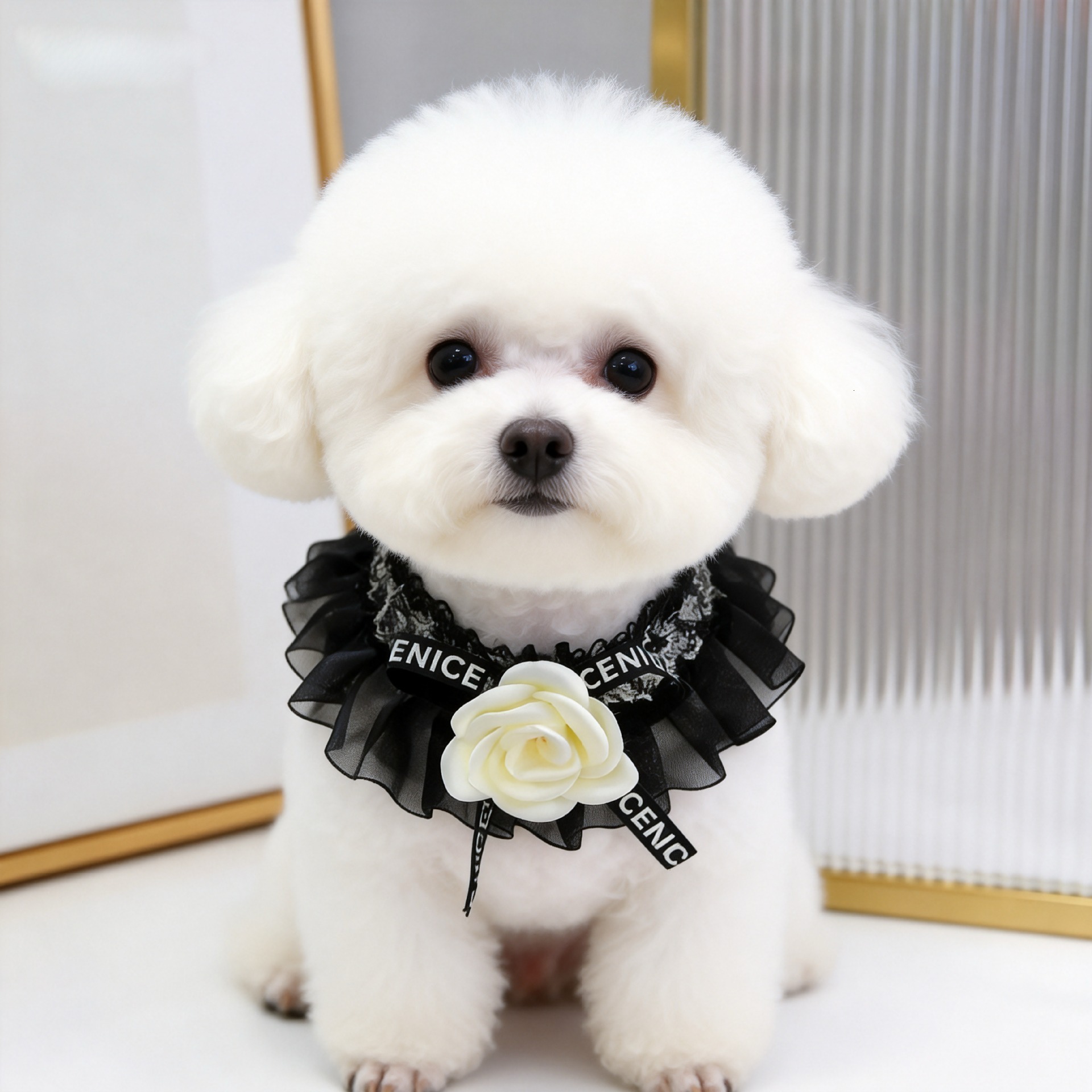 Pet Collar French Style Camellia Design Fashionable Romantic Black Gauze Bib Comfortable Adjustable For Kittens And Puppies