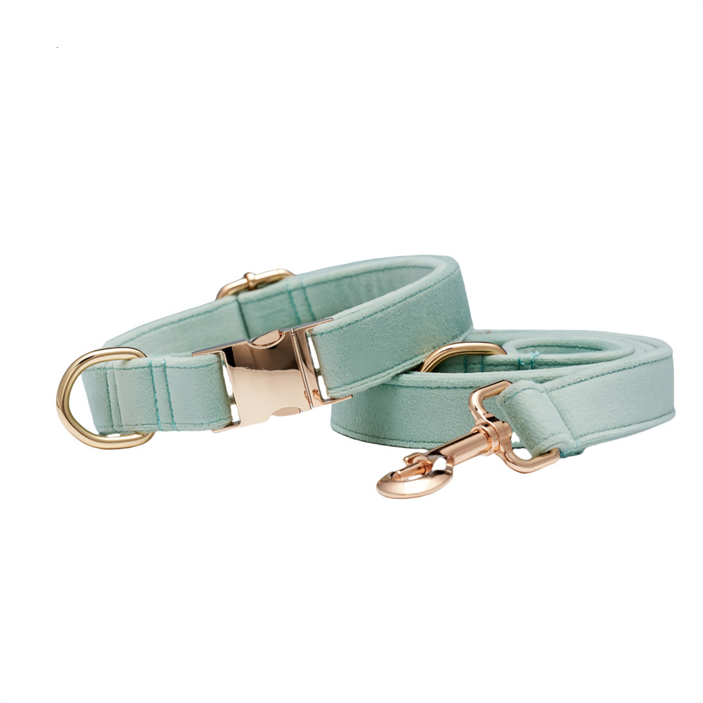 Dog Collar Engraved Anti Lost Adjustable For Medium Small Dogs Corgi Shiba Inu Golden Retriever Dopamine Color