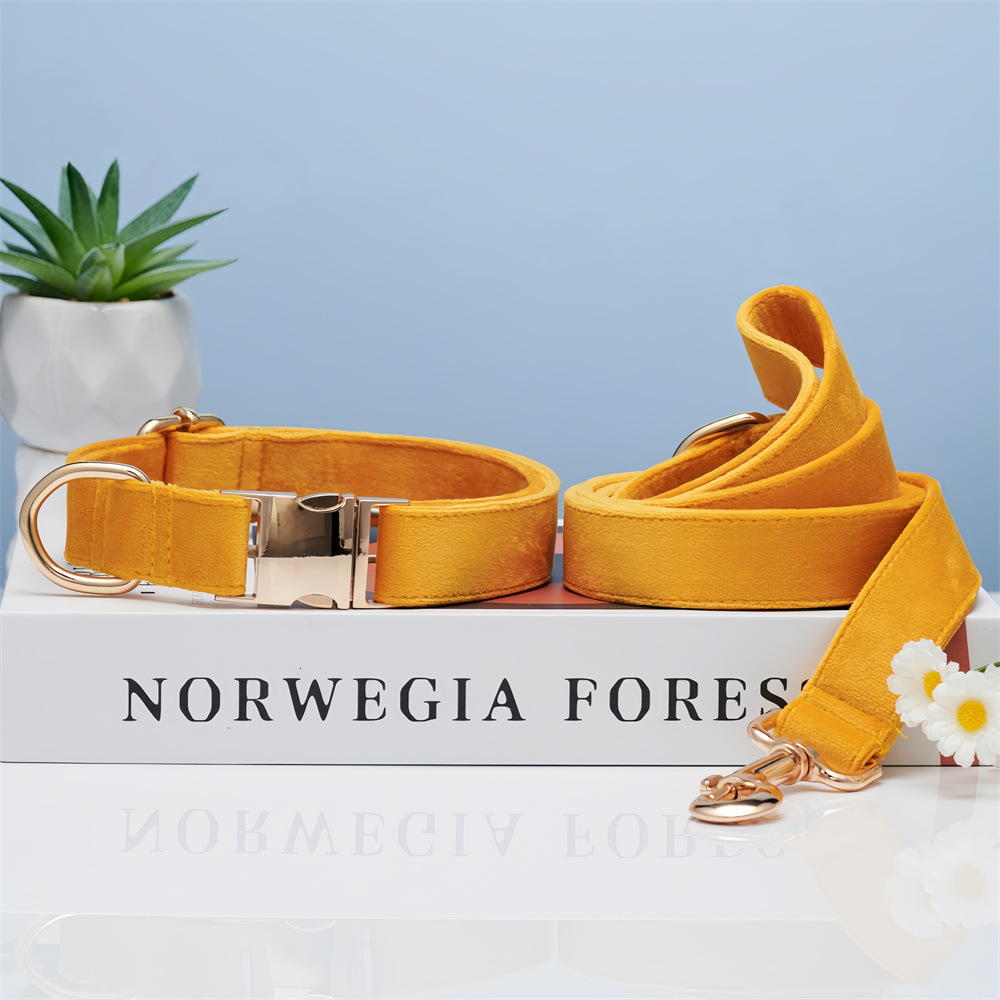 Dog Collar Engraved Anti Lost Adjustable For Medium Small Dogs Corgi Shiba Inu Golden Retriever Dopamine Color