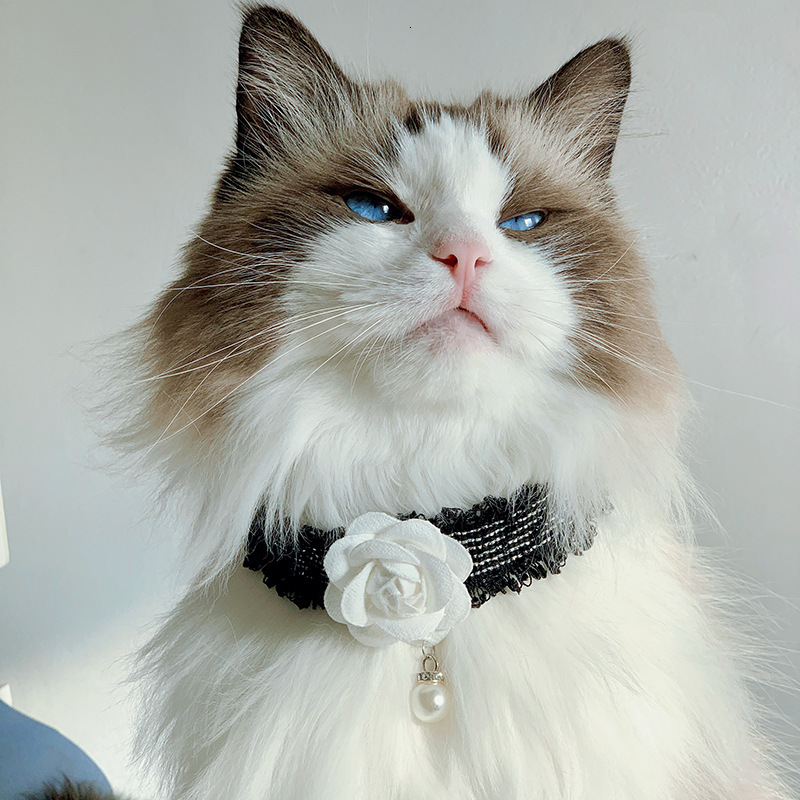 Pet Collar Camellia Style Elegant Lady Design Decorative Bib Soft Comfortable For Cats And Small Dogs