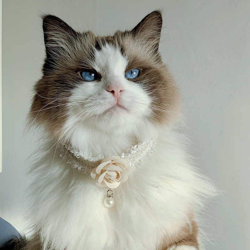 Pet Collar Camellia Style Elegant Lady Design Decorative Bib Soft Comfortable For Cats And Small Dogs