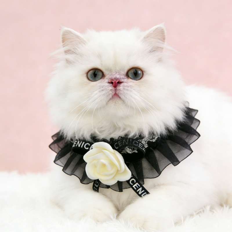 Pet Collar French Style Camellia Design Fashionable Romantic Black Gauze Bib Comfortable Adjustable For Kittens And Puppies