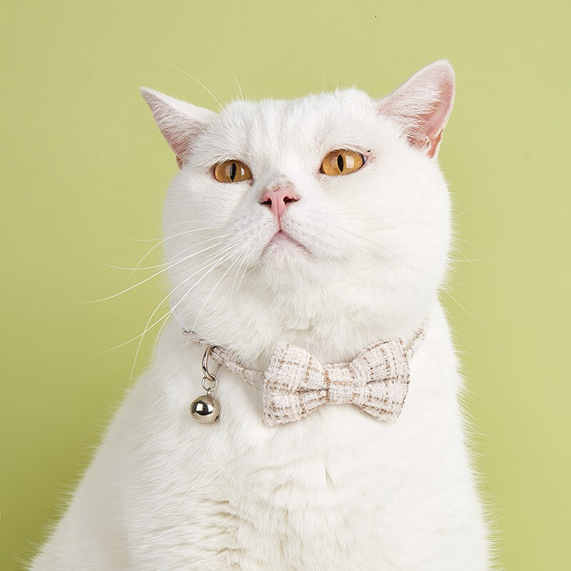 Pet Collar Designer With Bell Cute Bowknot Soft Comfortable Adjustable Lightweight For Small Dogs And Cats