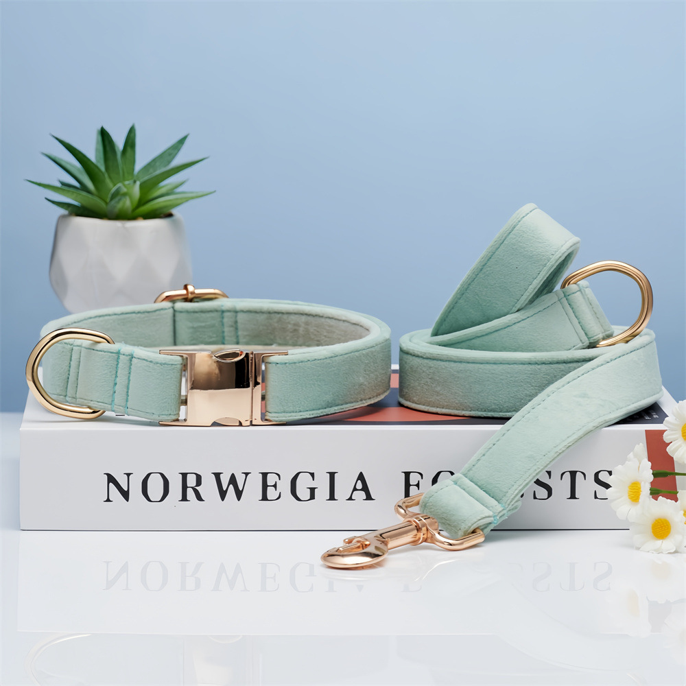 Dog Collar Engraved Anti Lost Adjustable For Medium Small Dogs Corgi Shiba Inu Golden Retriever Dopamine Color