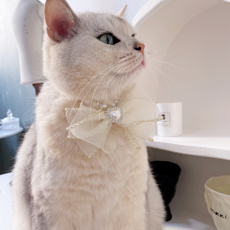 Pet Collar Designer Mesh Bow Pearl Inlaid Diamond Handmade Gold Thread Edge Cute For Cats Small Dogs