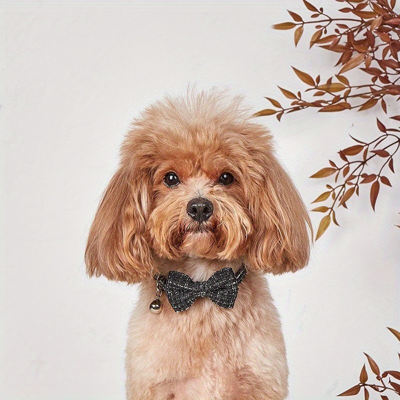 Pet Collar Designer With Bell Cute Bowknot Soft Comfortable Adjustable Lightweight For Small Dogs And Cats