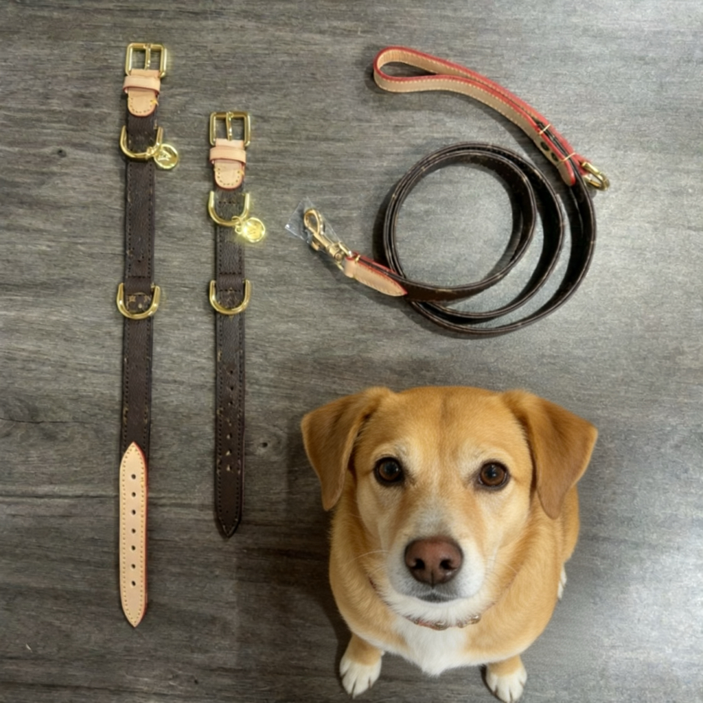 Luxury Designer Leash With Metal ID cat Tag, Premium Leather Dog Collar Walking Running Training Purposes dog Durable designer Strong Adjust