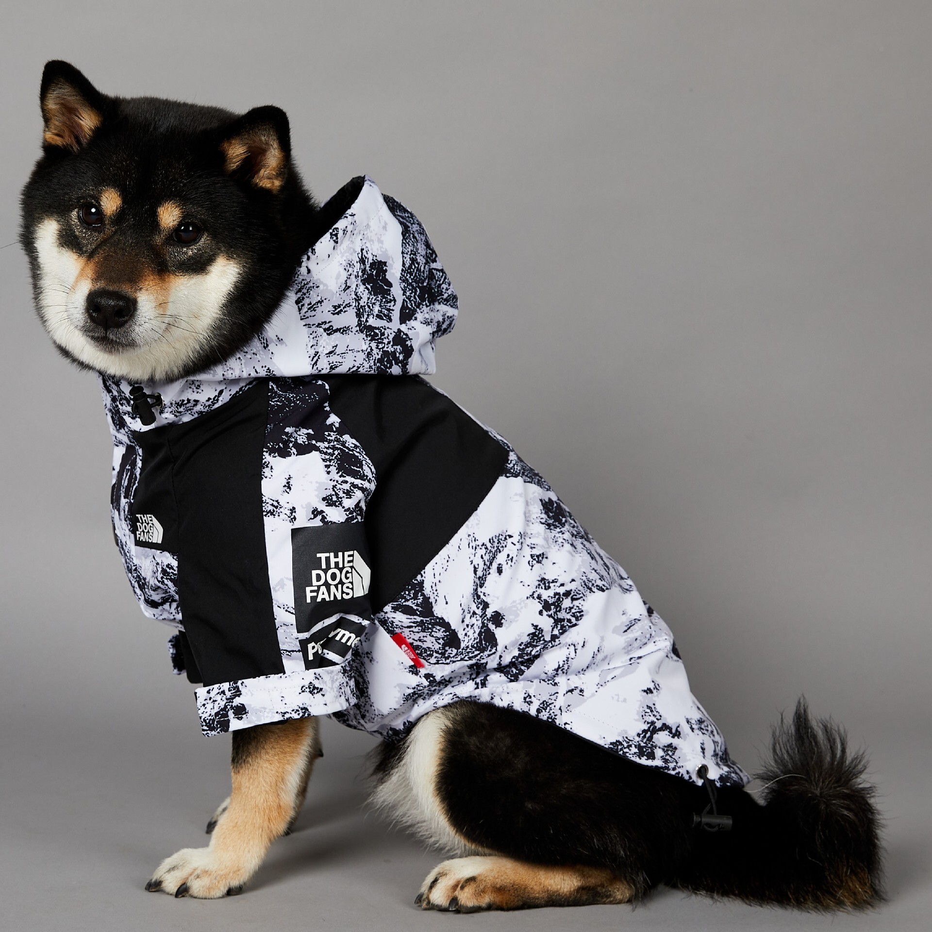 Pet Jacket American Snow Mountain Trendy Windproof Rainproof Outdoor Style Large Size Dog Raincoat Waterproof Adjustable