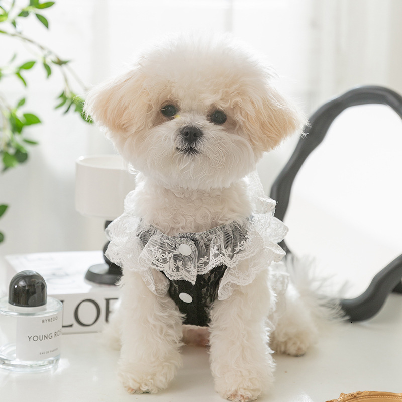 Pet Vest Spring Summer Black Camellia Style Lace Princess Leash Vest For Small Medium Dogs Cats Teddy