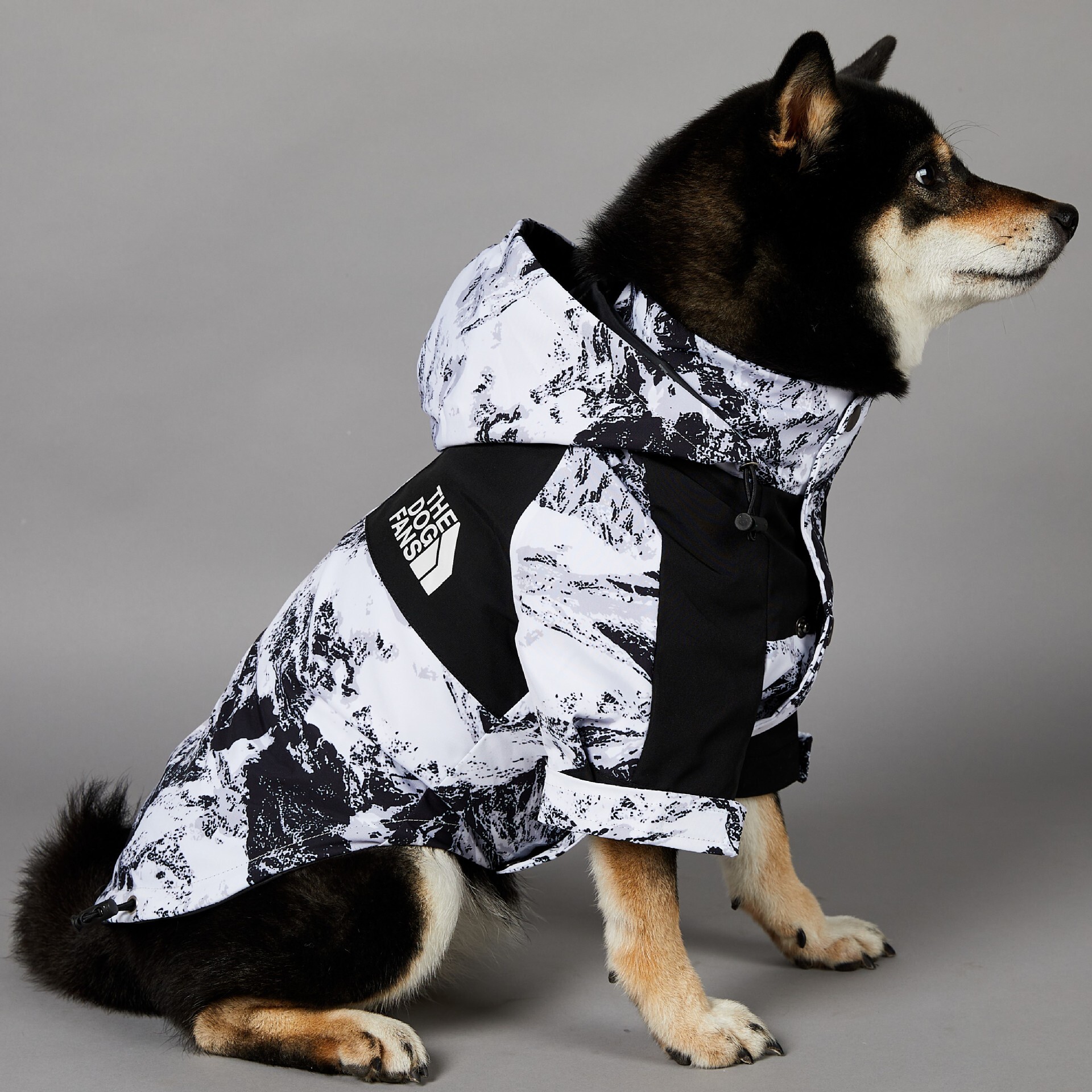 Pet Jacket American Snow Mountain Trendy Windproof Rainproof Outdoor Style Large Size Dog Raincoat Waterproof Adjustable