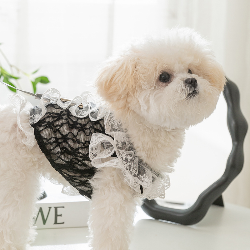 Pet Vest Spring Summer Black Camellia Style Lace Princess Leash Vest For Small Medium Dogs Cats Teddy