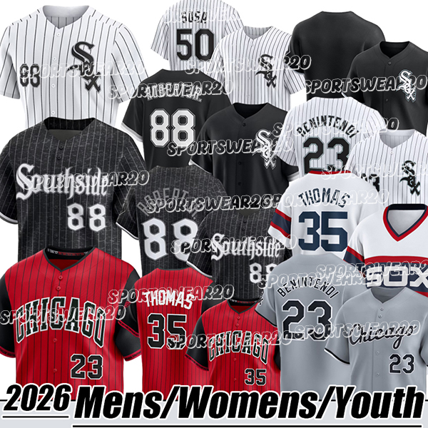 Chicagocity White Sox jersey Luis Robert Jr. Andrew Benintendi Lenyn Sosa Michael A. Taylor #30 Julks customized Baseball Jerseys