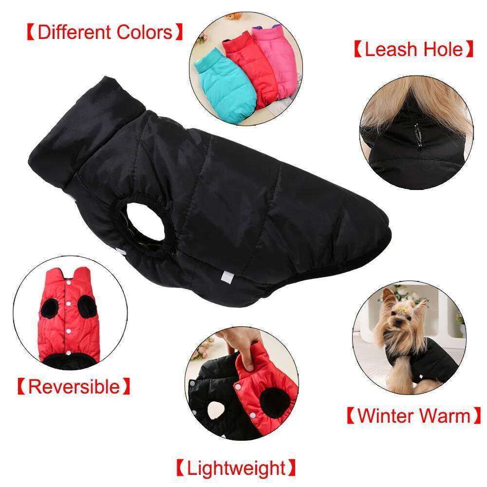 Autumn Winter Pet Dog Coat For Small Medium Dogs Cats Reversible Puppy Jacket Windproof Cat Clothing Yorkshire French Bulldog