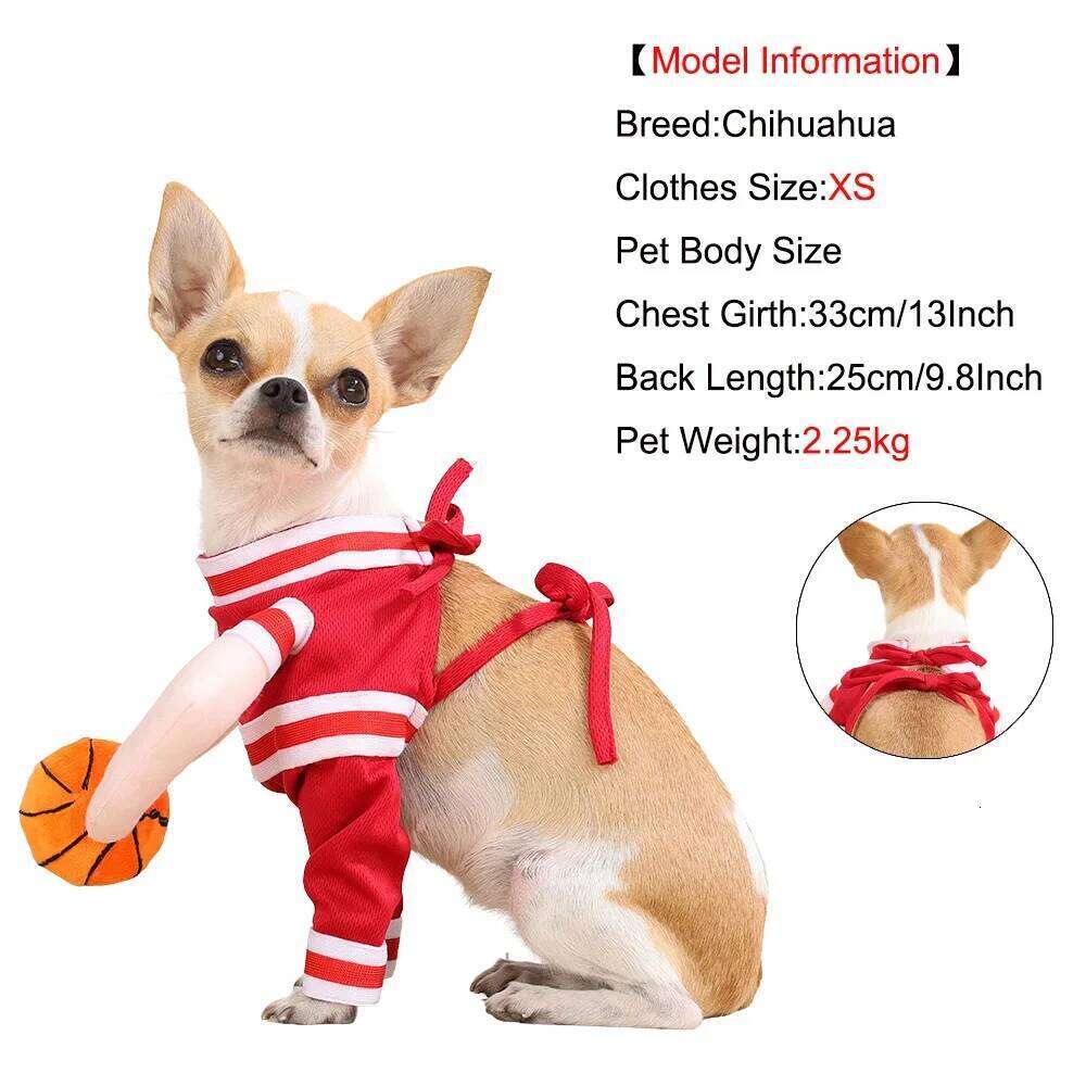 Cute Cat Basketball Player Cosplay Costume For Small Medium Cats Dogs Funny Dress Up Gift Kitten Clothing Sphynx Pug Pet Jacket