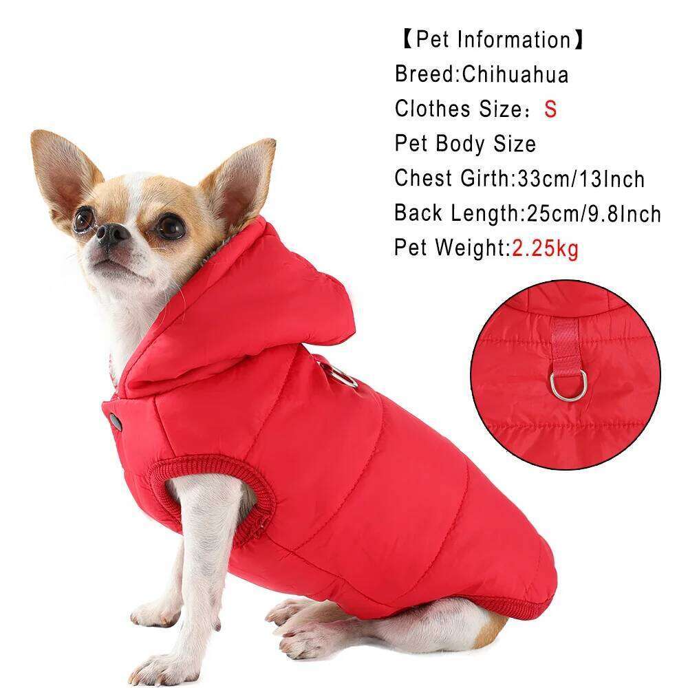 Windproof Hiking Jacket For Small Medium Dogs Cats Hooded Dog Clothes with D-ring Camping Puppy Coat Chihuahua Pug Clothing