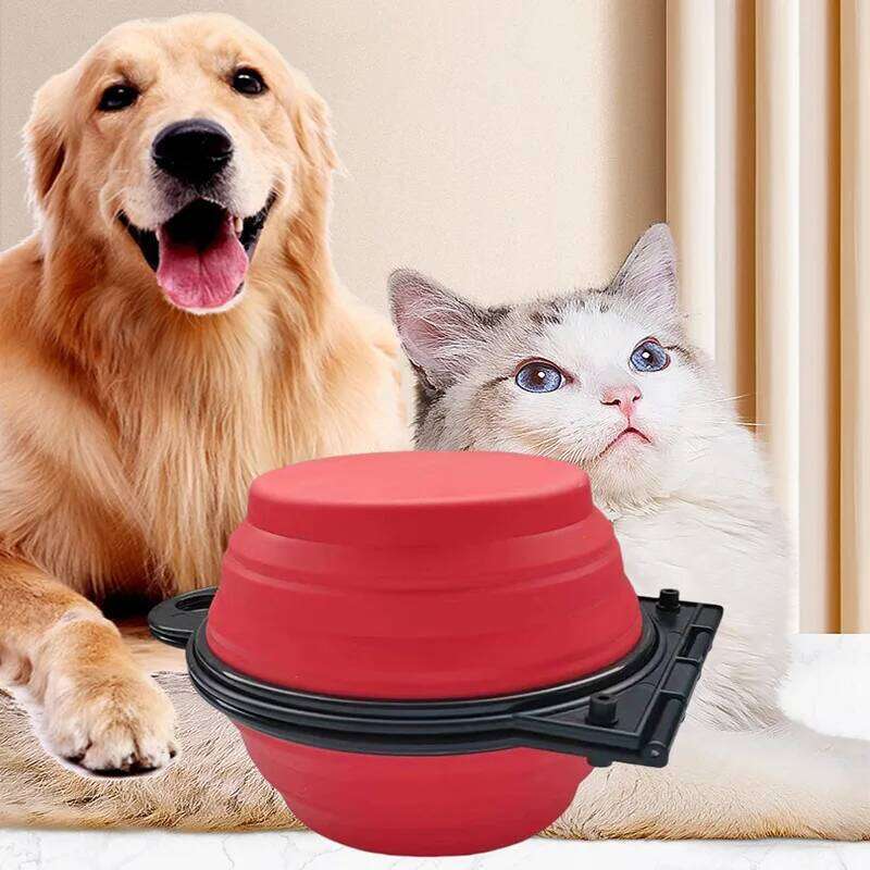 2 in 1 Collapsible Travel Double Bowls Folding Food Water Bowl Portable Hangable Feeder for Outdoor Dog Product