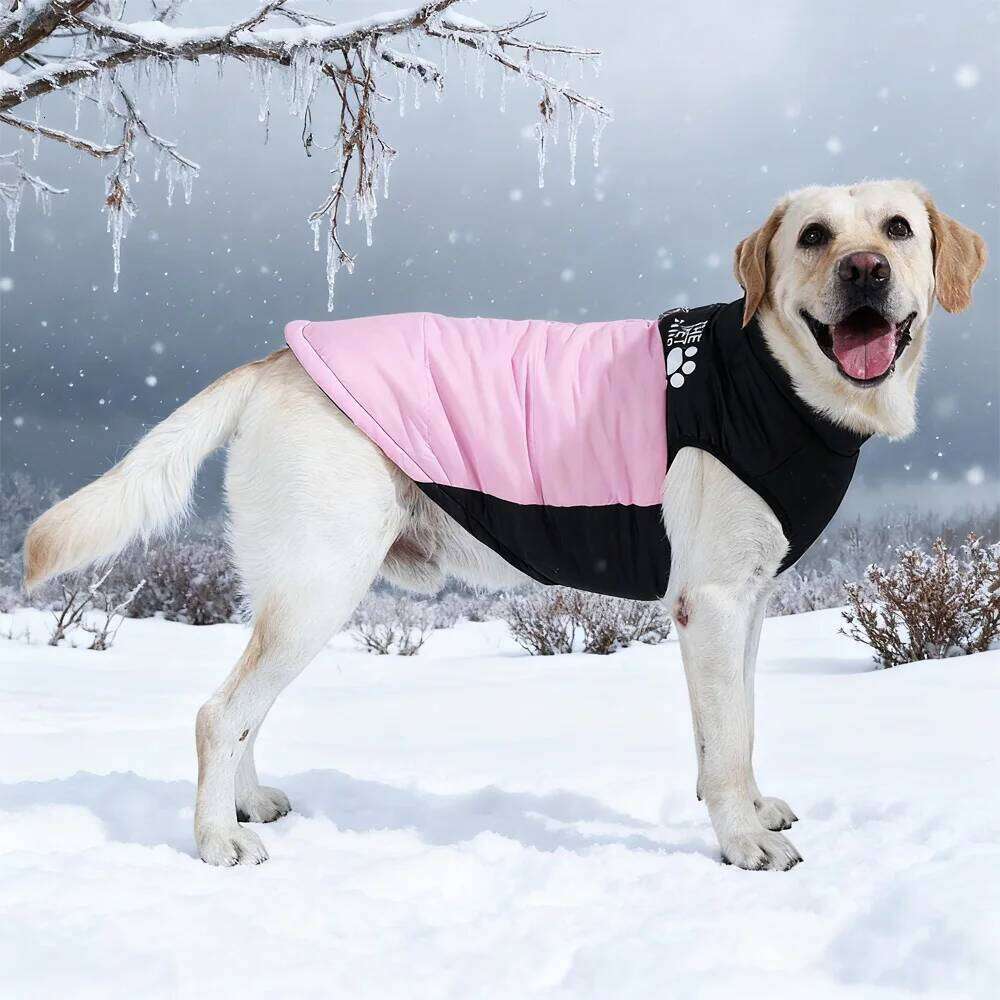 Big Pet Dog Jacket For Small Large Dogs Cats Winter Windproof Coat Waterproof Puppy Clothes With D-ring Labrador Bulldog Costume