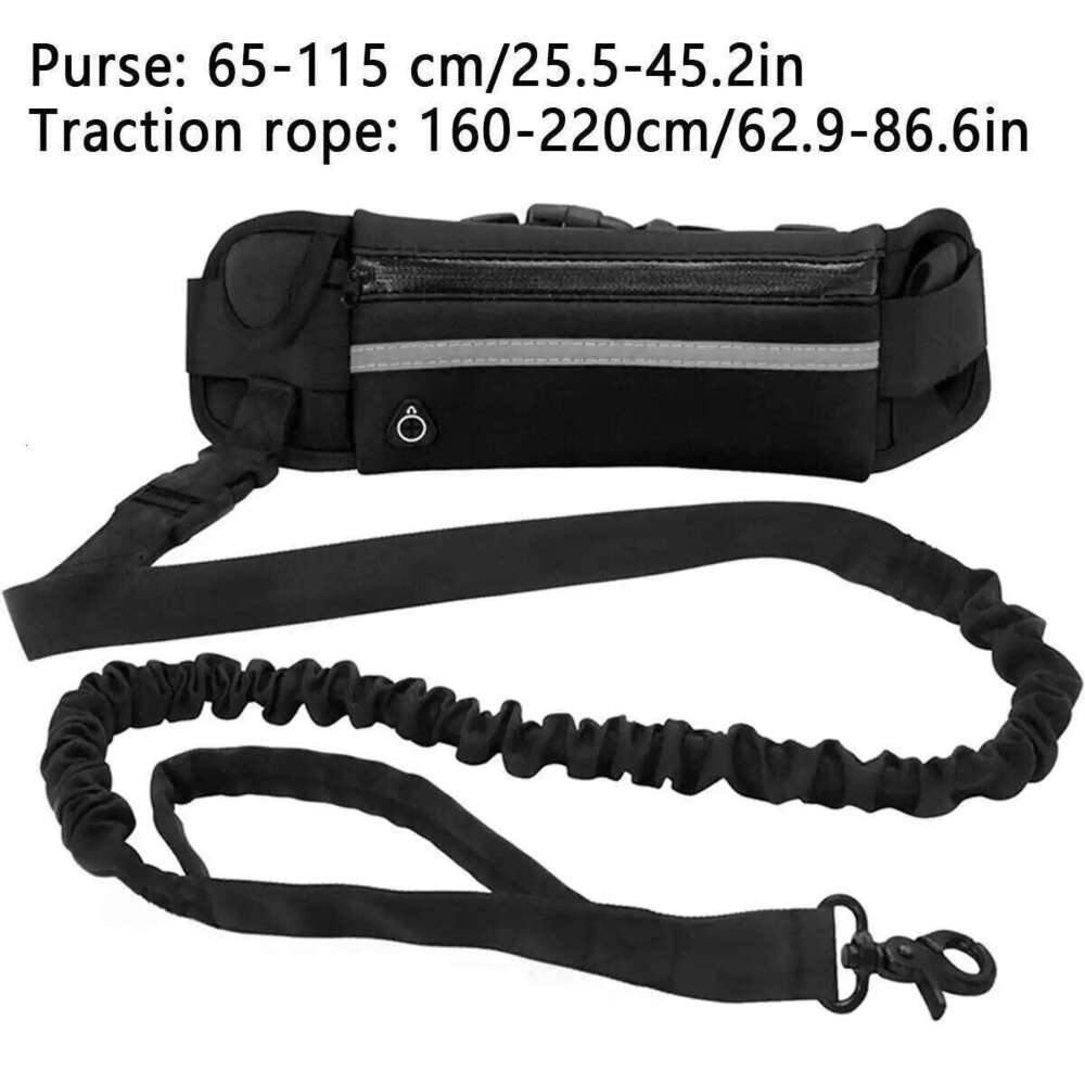 Running Nylon Pet Leash with Waist Bag Retractable Elastic Dog Traction Rope Reflective Belt Buckle