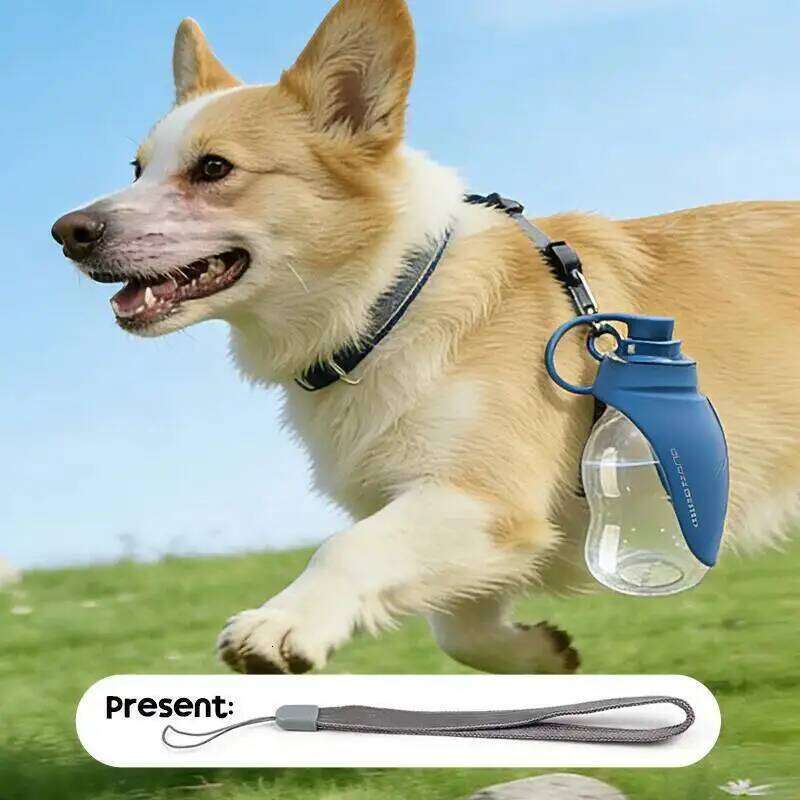 300ML Mini Collapsible Silicone Pet Water Bottle Portable Foldable Bowl Outdoor Travel Drinking Cup for Dogs Cats Hiking Walking