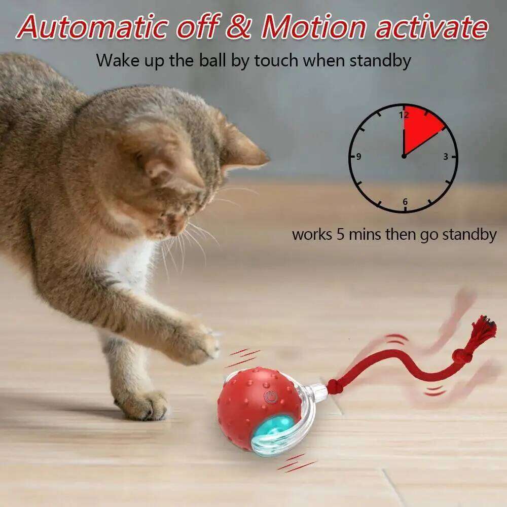 Interactive Toy Ball with Bird Chirping Super Drive Cat Rolling Balls Motion Activated Sensor Pet Kittens Teaser Game Toys