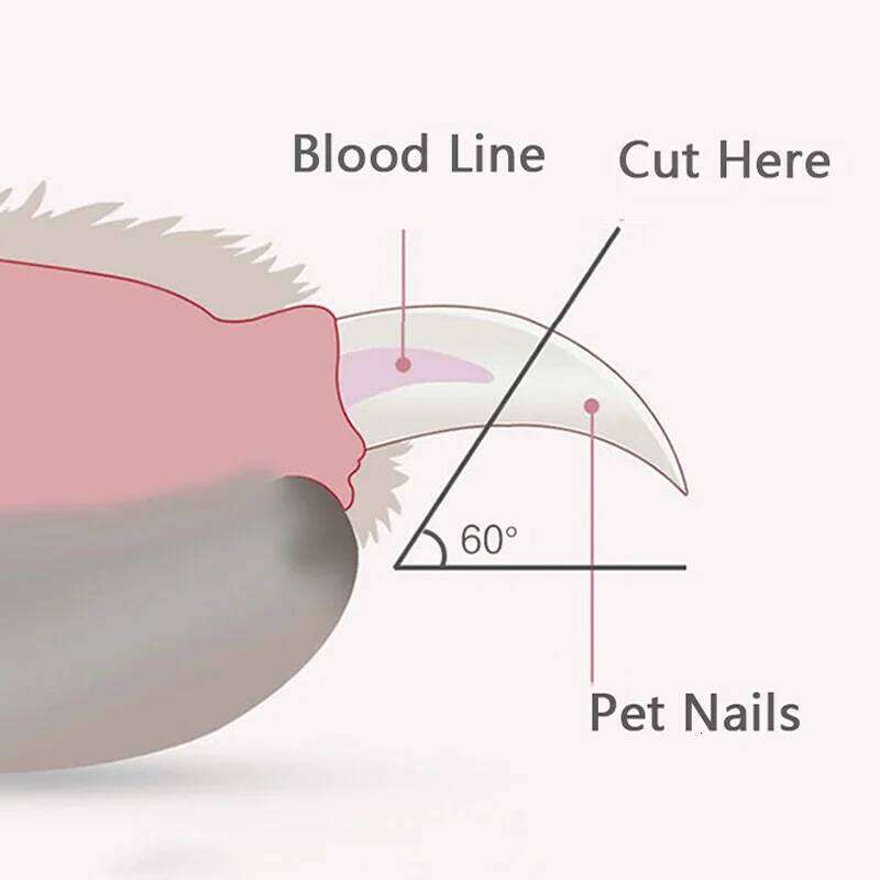 Professional Clippers with Led Light Claw Grooming Scissors for Dogs Cats Small Animals Paw Nail Trimmer Pet Supply