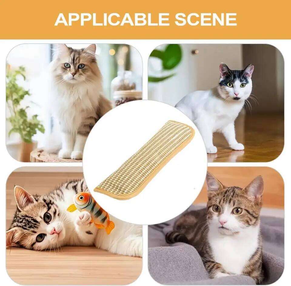 Scratcher Interactive Cat Pillow Kitten Claw Grinder Scratching Post for Cats Chew Bite Toys Catnip Toy