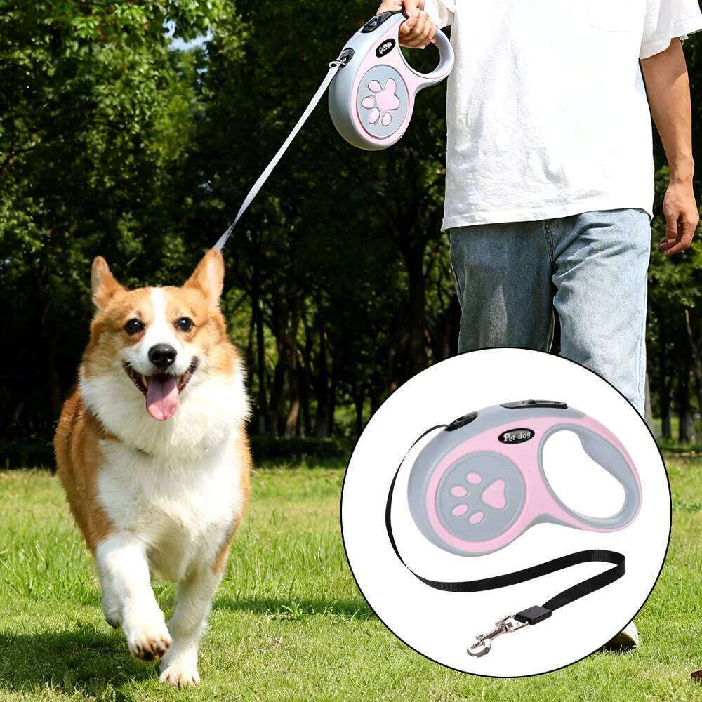 3m 5m Pet Dog Leash for Small Medium Dogs Cats Outdoor Running Retractable Nylon Puppy Lead Chihuahua French Bulldog Supplies