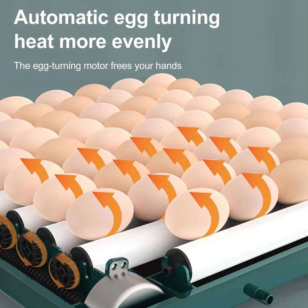 9 To 15 Eggs Egg Turning And Humidity Monitoring Duck Incubator With Automatic Water Ionic Waterbed