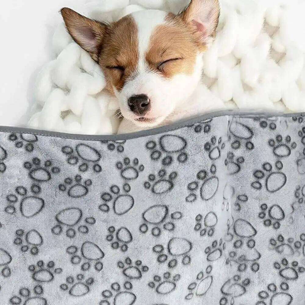 Soft Fluffy High Quality Washable Cute Pattern Paw Print Dog Pet Mat Warm Blanket for Indoor Cat Dogs