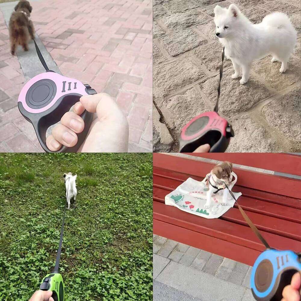 Pet Dog 3m 5m Hiking Outdoor Automatic Extending Leash For Small Large Dogs Retractable Cat Rope Chihuahua Pug Supplies