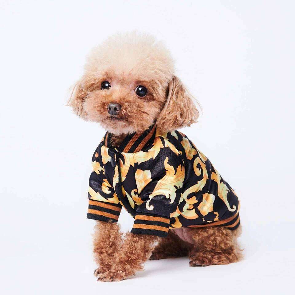 Chinese Embroidery NONOR Gold Embroidery Coat Warm Dog Clothes For French Bulldog Puppy Outfit Cotton Dogs Jacket Ropa Para Perro