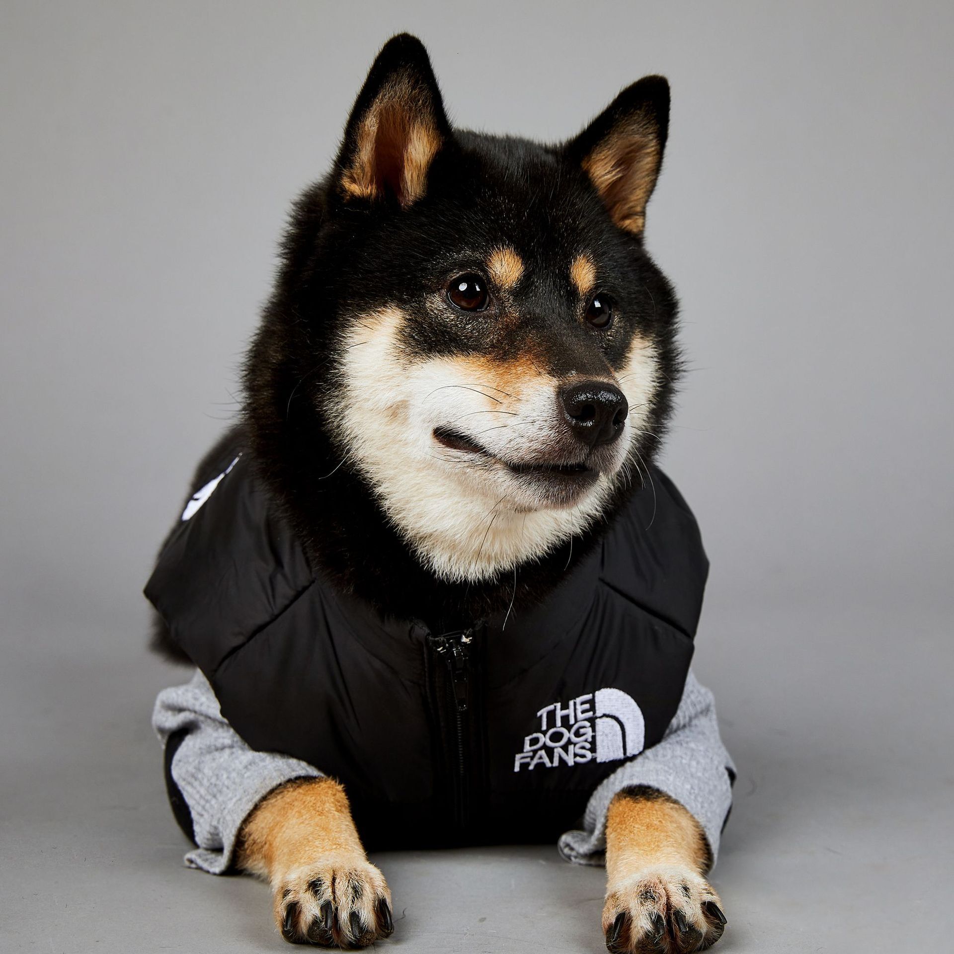 Dog Pet Cotton Jacket Windbreaker American Trendy Face Windproof Rainproof Large Winter Warm Raincoat