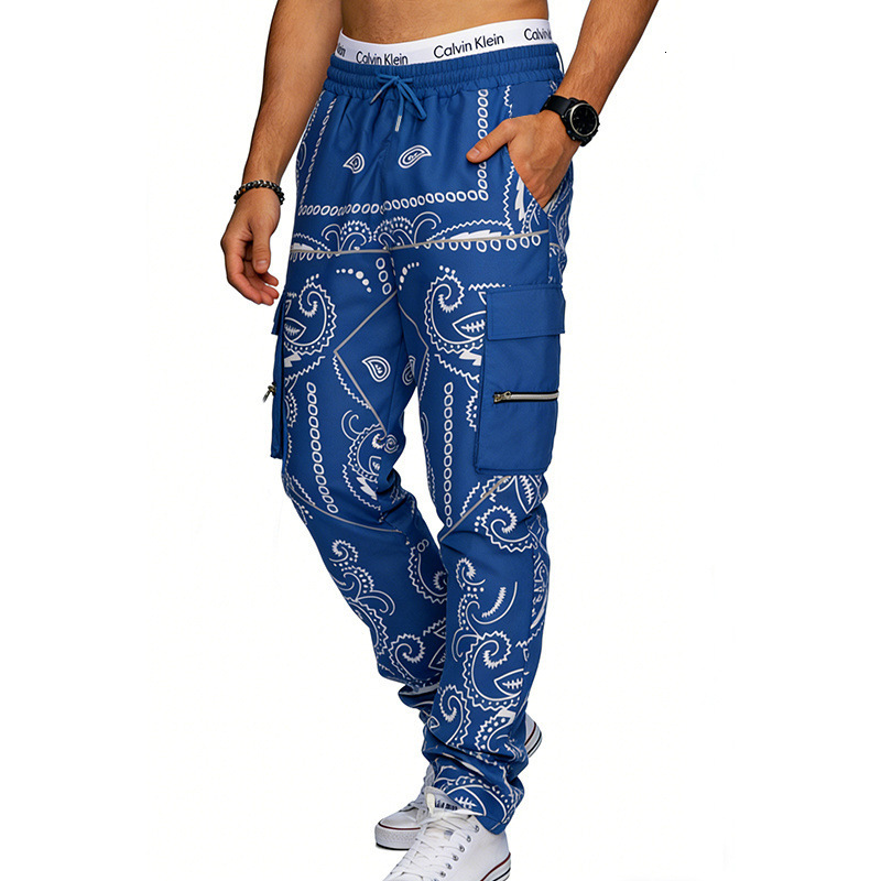 2026 Printed Paisley Casual Sports Harem Pants for Men Loose High Street Multi-Pocket Cargo Pants