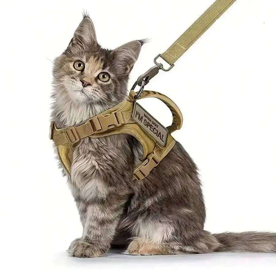 Outdoor Tactical Walking Escape Proof Adjustable Waterproof Pet Harness Soft Mesh Vest For Large Cat Small Dog