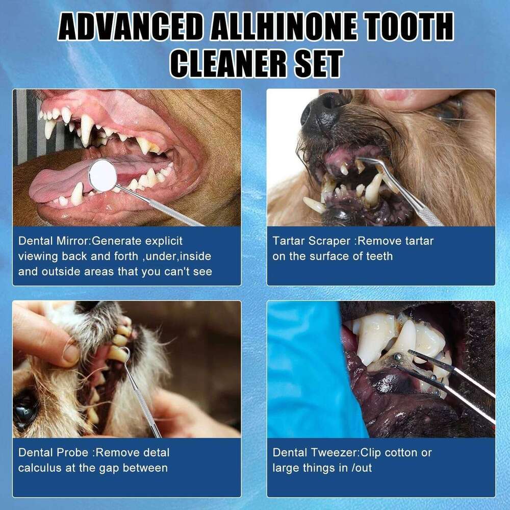 Cleaning Kit Pet Ultrasonic Canine Plaque Remover for Teeth with LED Light 3 Modes USB Charge Dog Sonic Tooth Cleaner