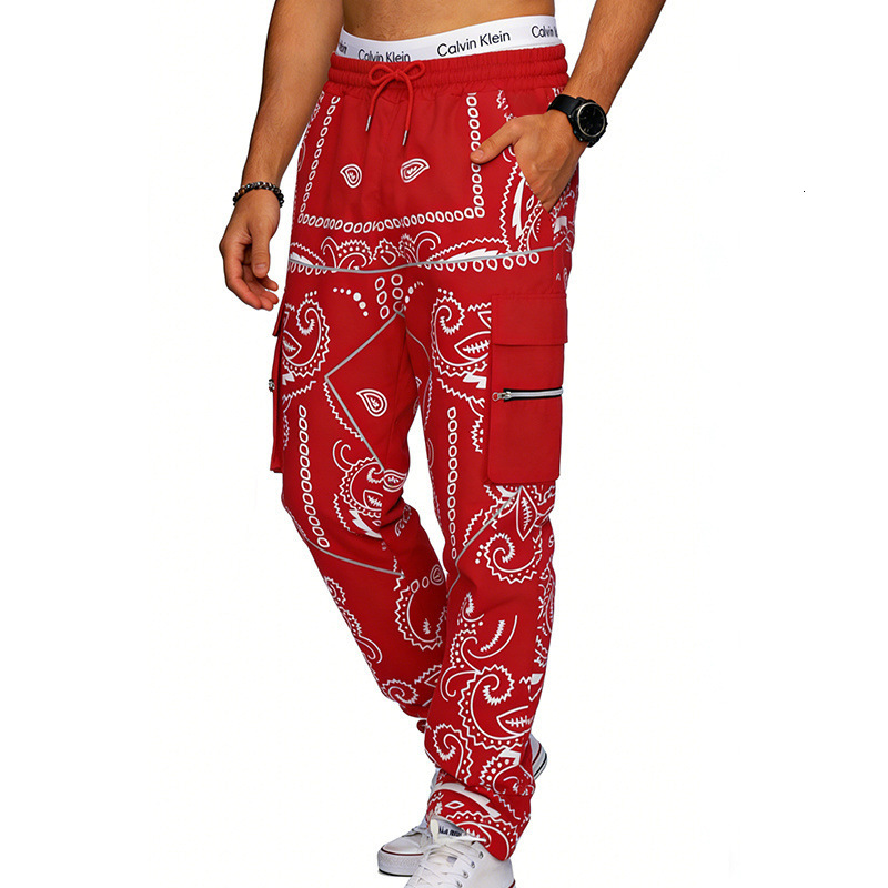 2026 Printed Paisley Casual Sports Harem Pants for Men Loose High Street Multi-Pocket Cargo Pants
