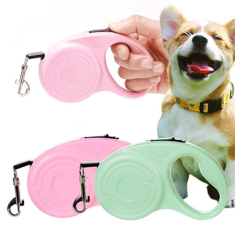 5m Dog Leash for Small Medium Dogs Cats Hiking Retractable Puppy Adjustable Nylon Lead Chihuahua French Bulldog Pug Pet Supplies