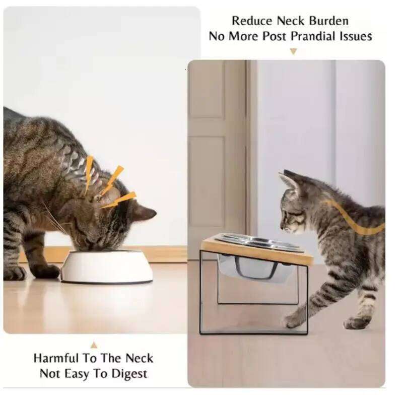 FGG Elevated 15 Tilted Raised Cat Food with Wooden Stand Anti Vomiting 2Stainless Steel Bowls for Cats and Puppy 26W0330