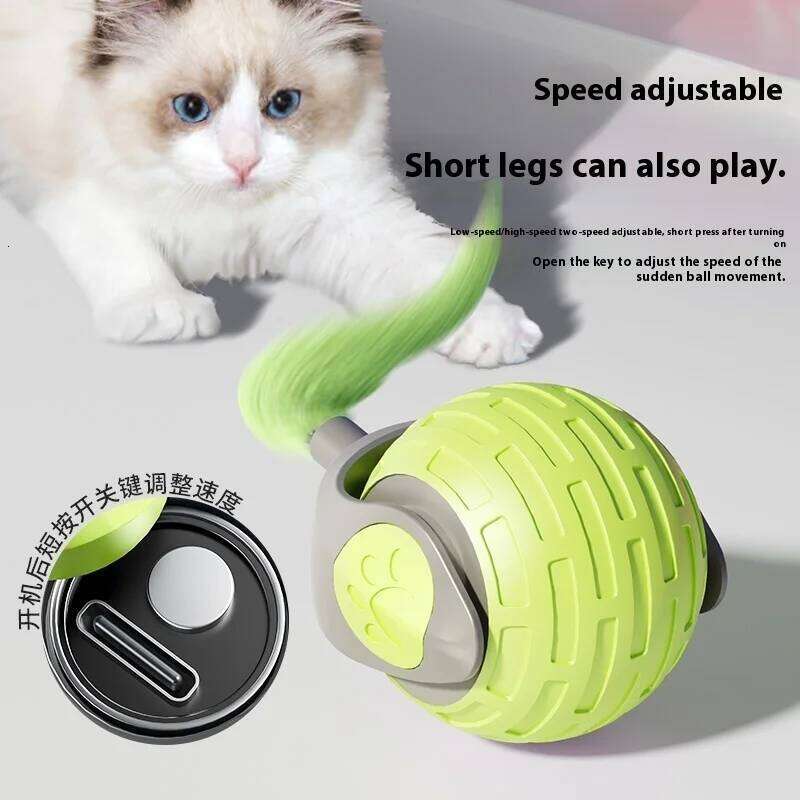 New Interactive Smart Electric Rolling Ball Toys for Kitty Pet Automatic Training USB Rechargeable Cat Toy
