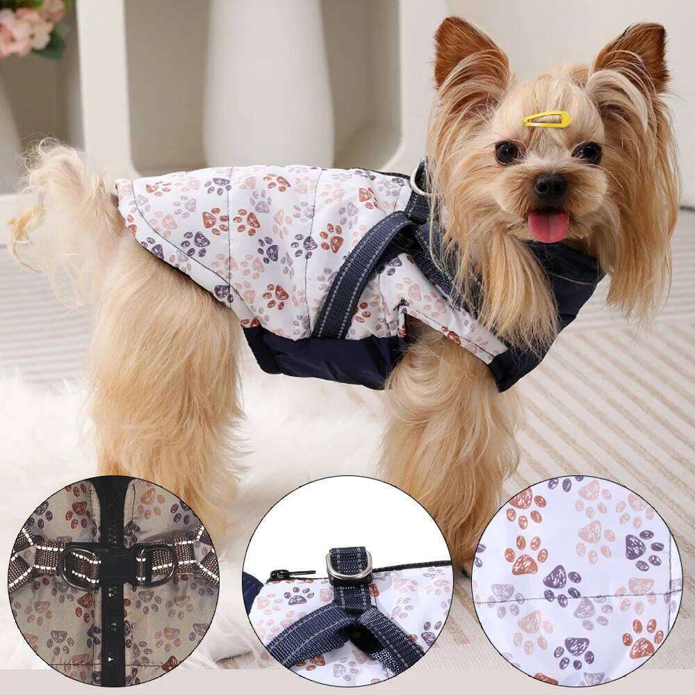 Hiking Pet Dog Clothes For Small Medium Dogs Cats Outdoor Camping Coat Waterproof Puppy Clothing with Sphynx Chihuahua Costume