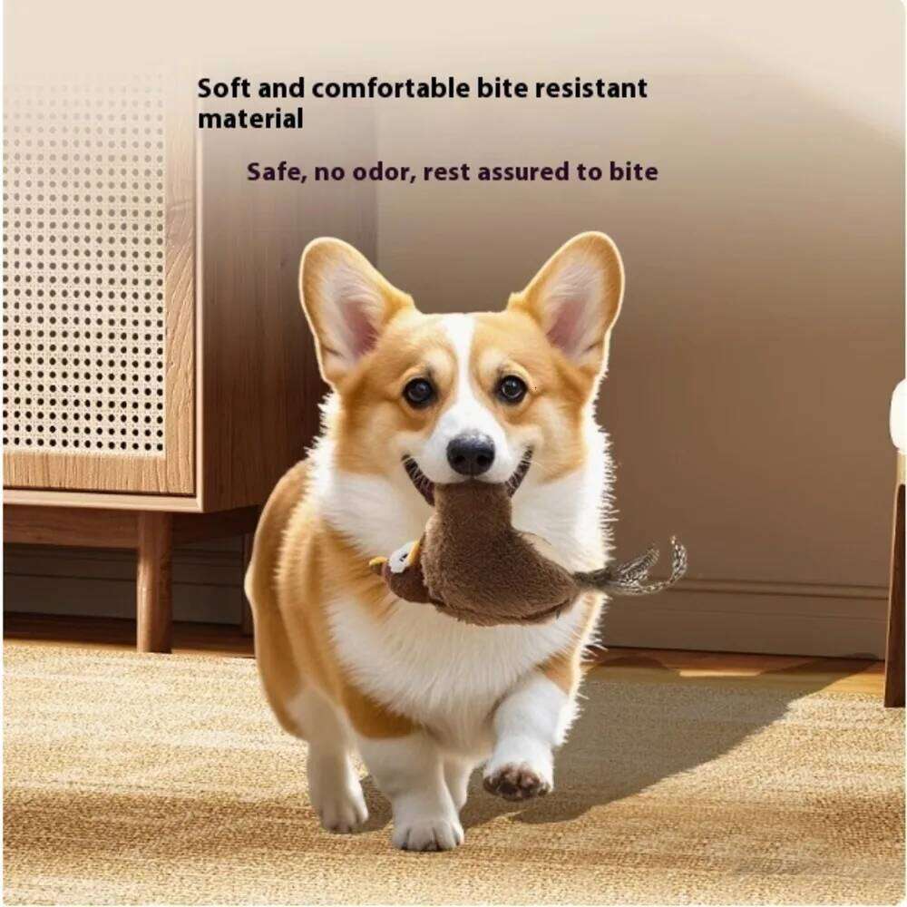 New Interactive Toys Electric Pat Bird with Catnip Dog Cats Touch-Activated Squeaky Plush Toy Pet USB Rechargeable