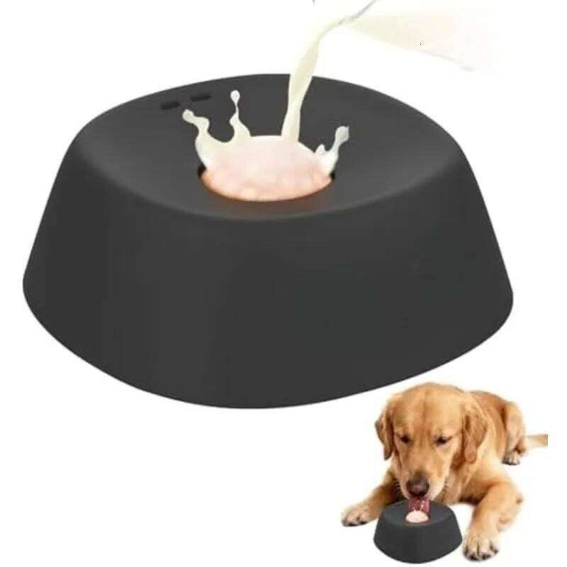 Anti-Choking Slow Feeder Dog Bowl Non-Slip 3/4 Cup - Lick Toy for Liquid Treats Bone Broth Yogurt 26W0330