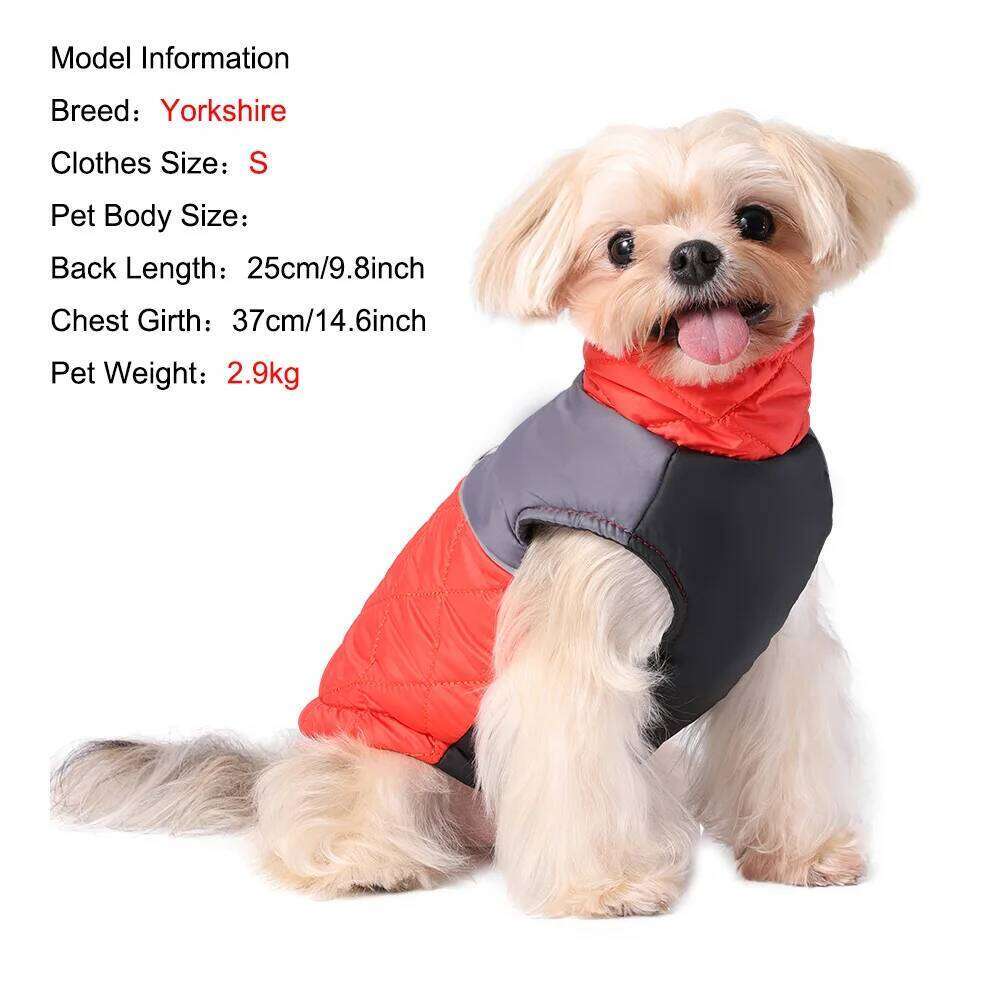 Windproof Dog Clothes Warm Pet Hiking Jackets for Small Medium Dogs Cats Winter Puppy Costume Yorkshire French Bulldog Outfits