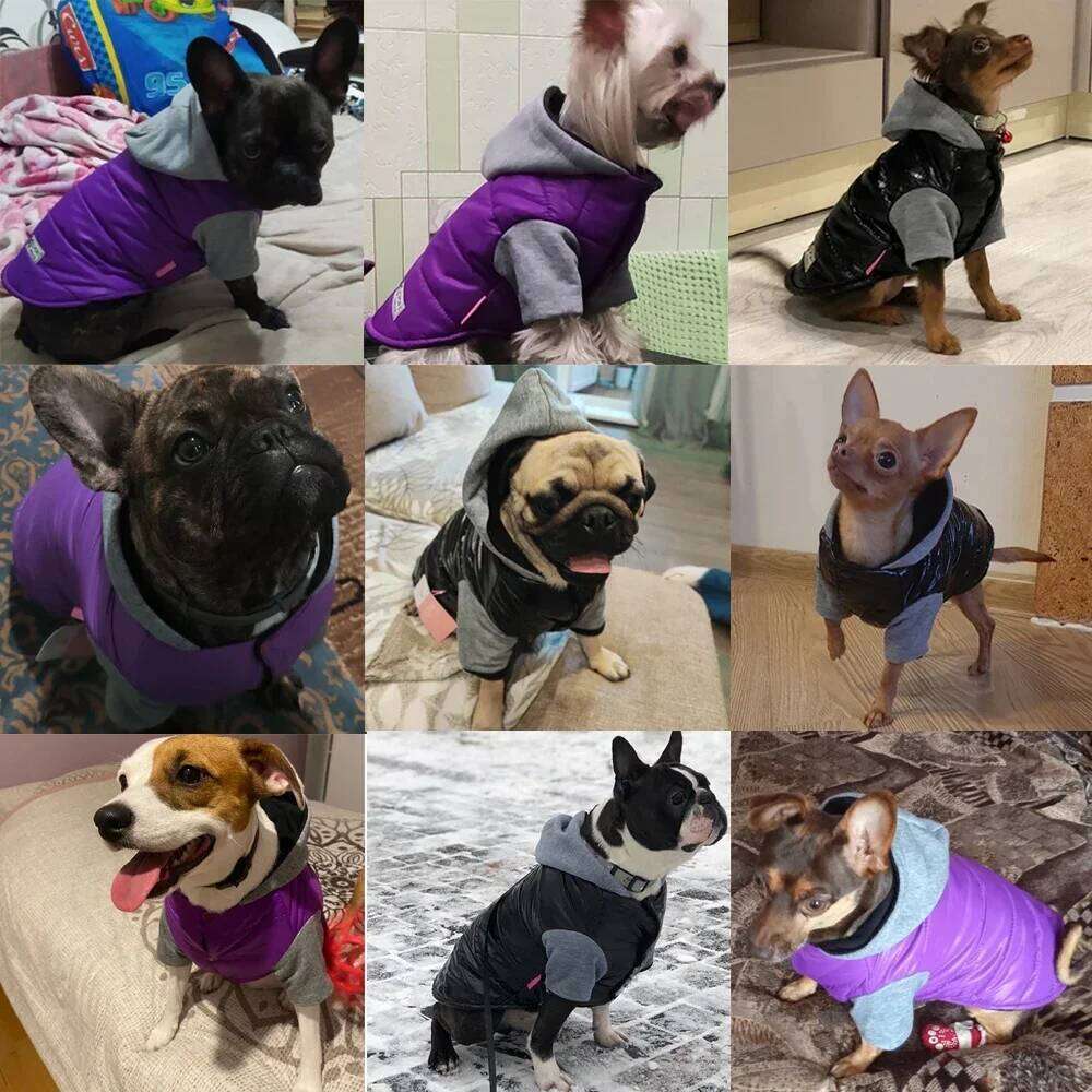 Autumn Winter Pet Clothes for Small Medium Dogs Cats Waterproof Puppy Coat Jacket Windproof Clothing Chihuahua Bulldog Outfits