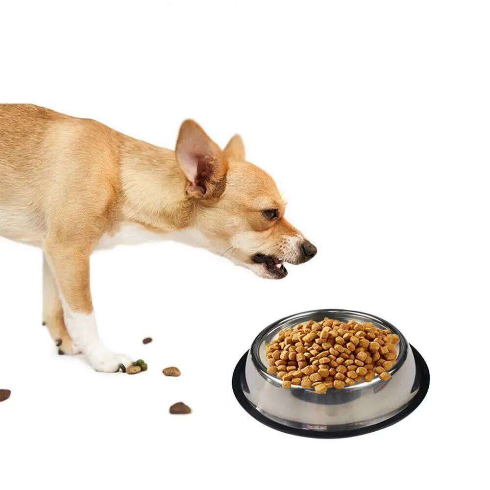 Steel Bowl Skidproof Anti-ant Water Drink Dishes Feeder Dog Bowls Food Accessories Pet Supplies 26W0330