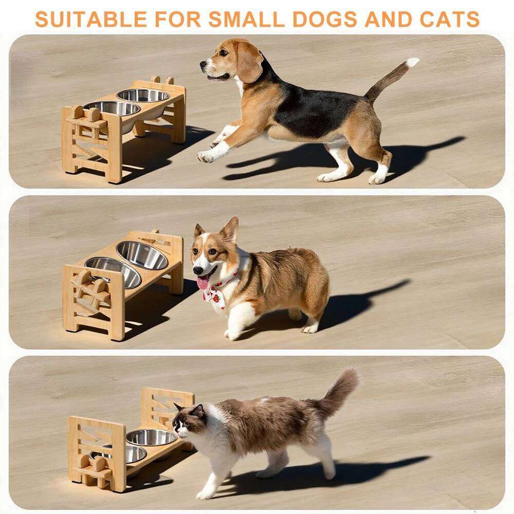 Elevated Small Dog Cat Tilted Adjustable Feeder Stand with 2 Stainless Steel Bowls for Puppies Cats Accessories 26W0330
