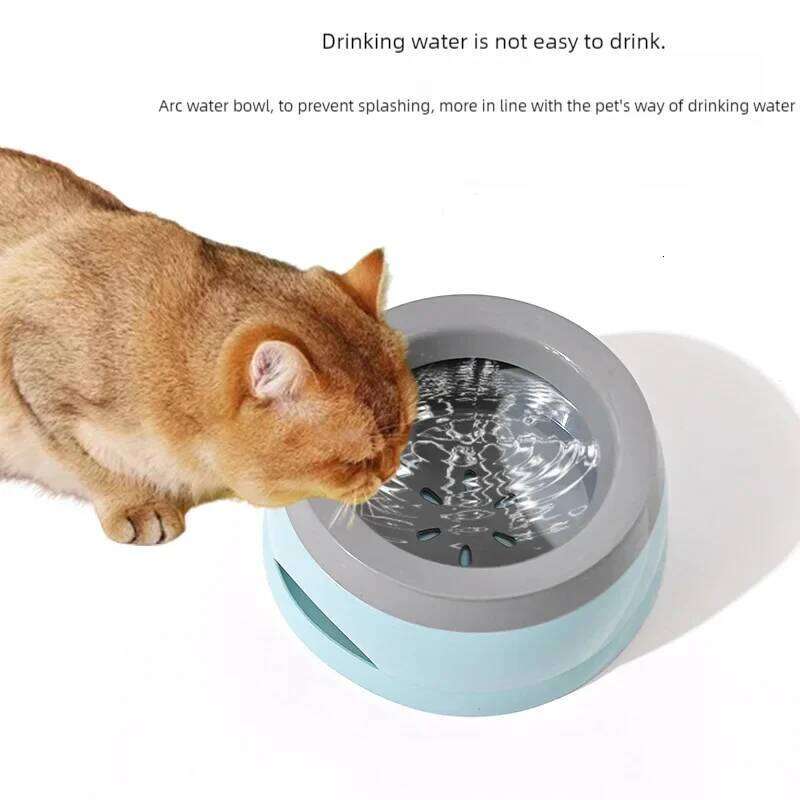 Portable Plastic Dog Bowls No Spill Floating Design Non-Slip Cat Bowl Water Feeder Dry Mouth Support Pet Accessories 26W0330